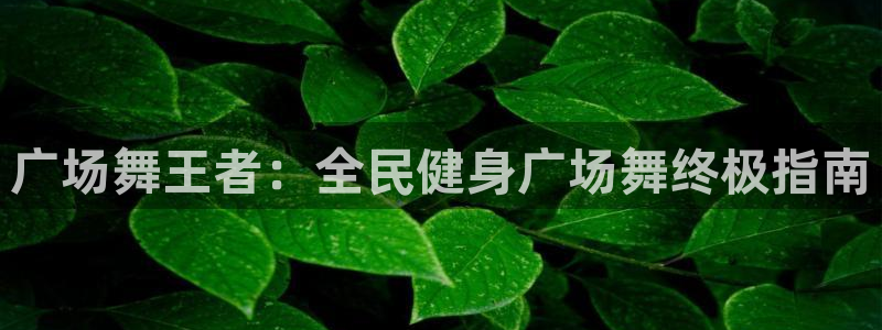 尊龙人生就是博送38：广场舞王者：全民健身广场舞终极指南